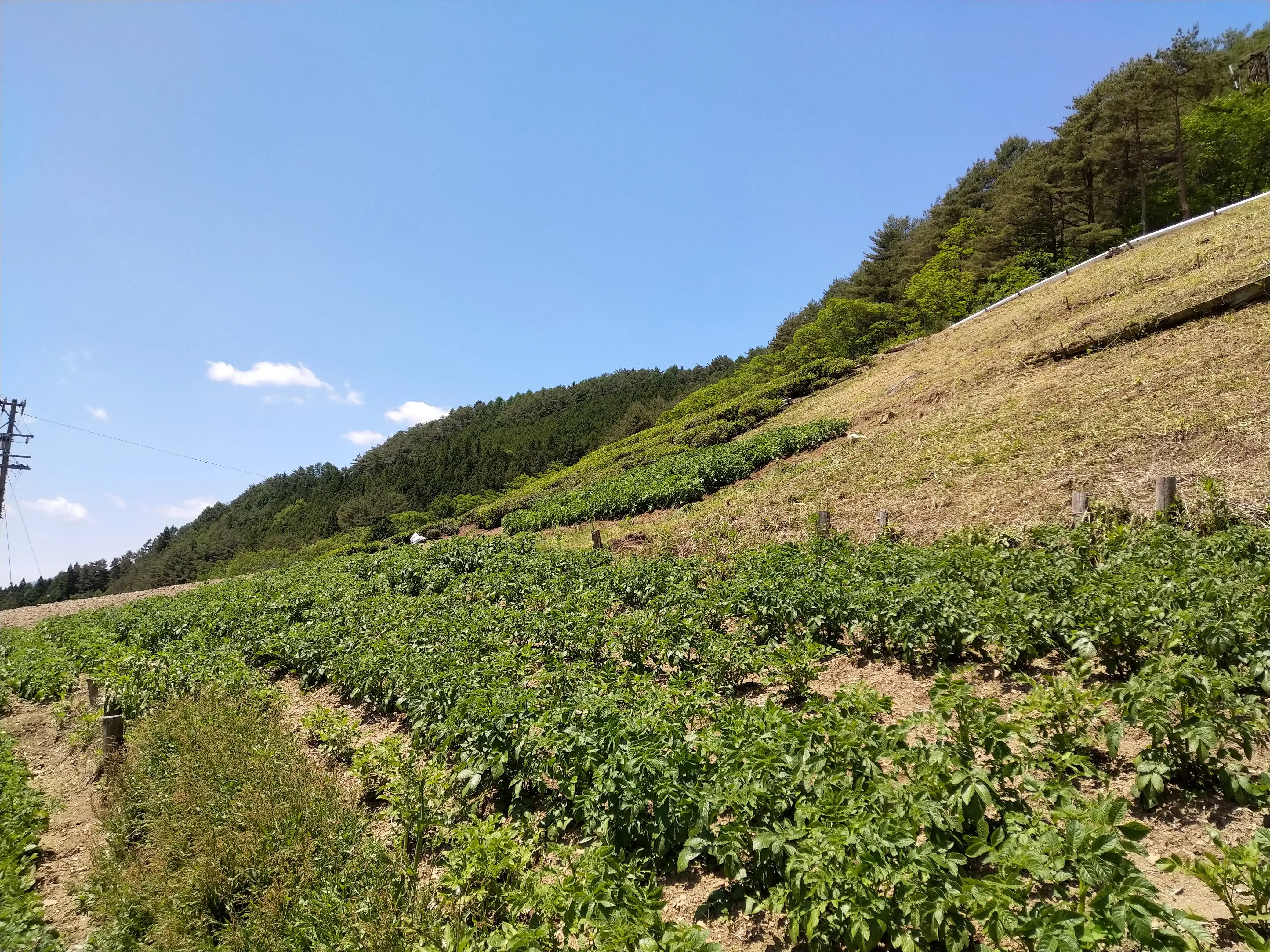 遠山郷の畑と山並み